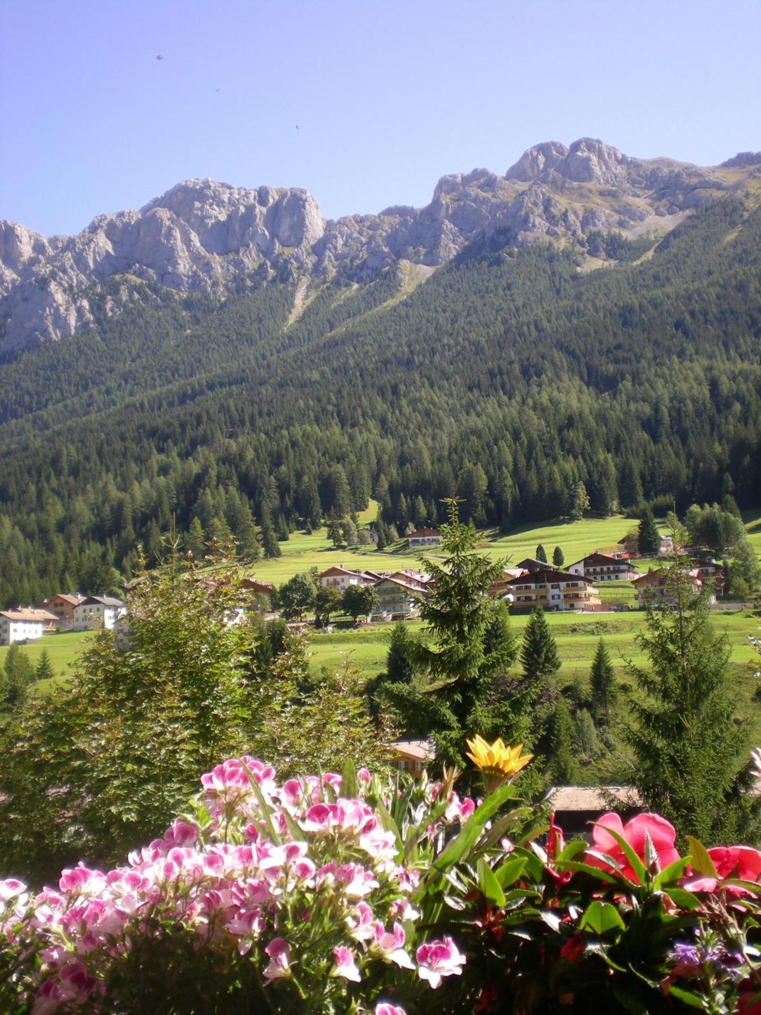 Hotel Des Alpes Soraga Eksteriør billede